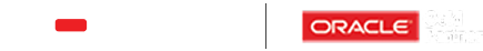 xelto logotype2